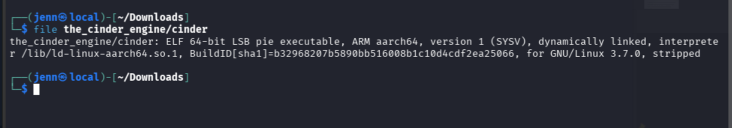 file command output identifying ARM64 ELF executable